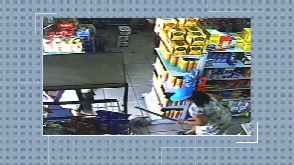 Gata foi morta a pauladas em Paraty  — Foto: Reprodução/Arquivo Pessoal