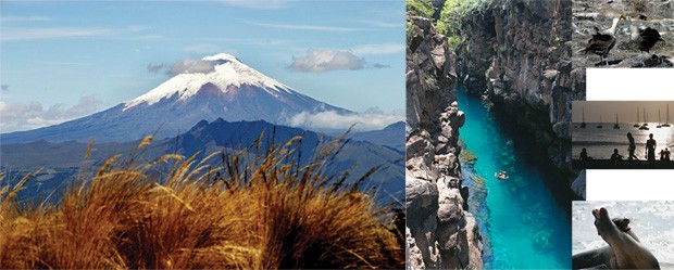 Quito e Galápagos. Na foto, o belo vulcão Pichincha. Ao lado, as riquezas naturais do arquipélago (Foto: Divulgação)