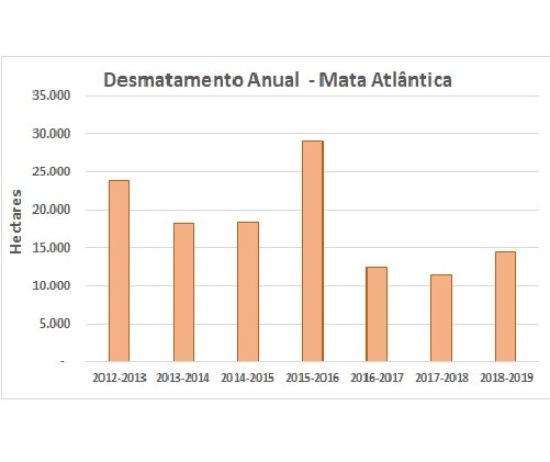 Desmatamento anual na Mata Atlântica entre 2012 e 2019 (Foto: TNC Brasil a partir de dados da SOS Mata Atlântica e INPE)