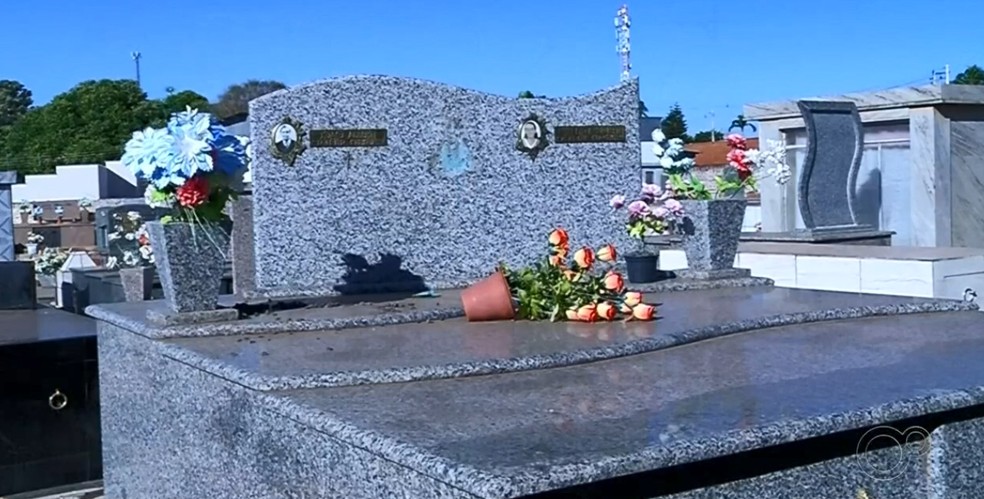 T&uacute;mulo que teve imagem furtada em Guzol&acirc;ndia &mdash; Foto: Reprodu&ccedil;&atilde;o/TV TEM