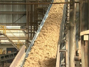Bagaço de cana-de-açúcar em usina de Sertãozinho, SP (Foto: Reprodução/EPTV)