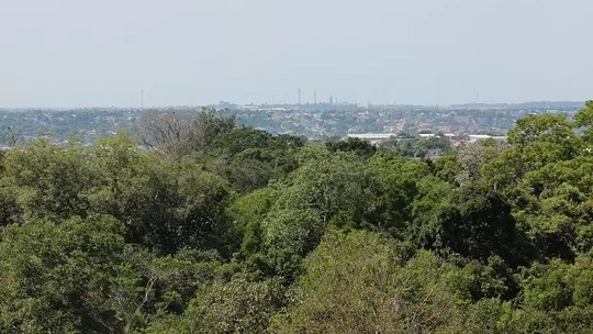 G1 &ndash; Amazonas: not&iacute;cias e v&iacute;deos da Rede Amaz&ocirc;nica