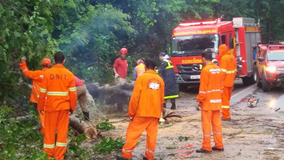 Corpo de Bombeiros retirou troncos da pista (Foto: Jairo Santos/TV Anhanguera)