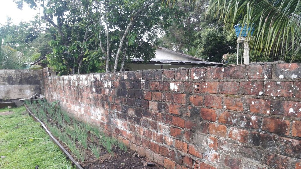Parte do muro da 5ª Unidade Prisional em Feijó está caiu e pode ter facilitado fuga de presos. (Foto: Arquivo pessoal)