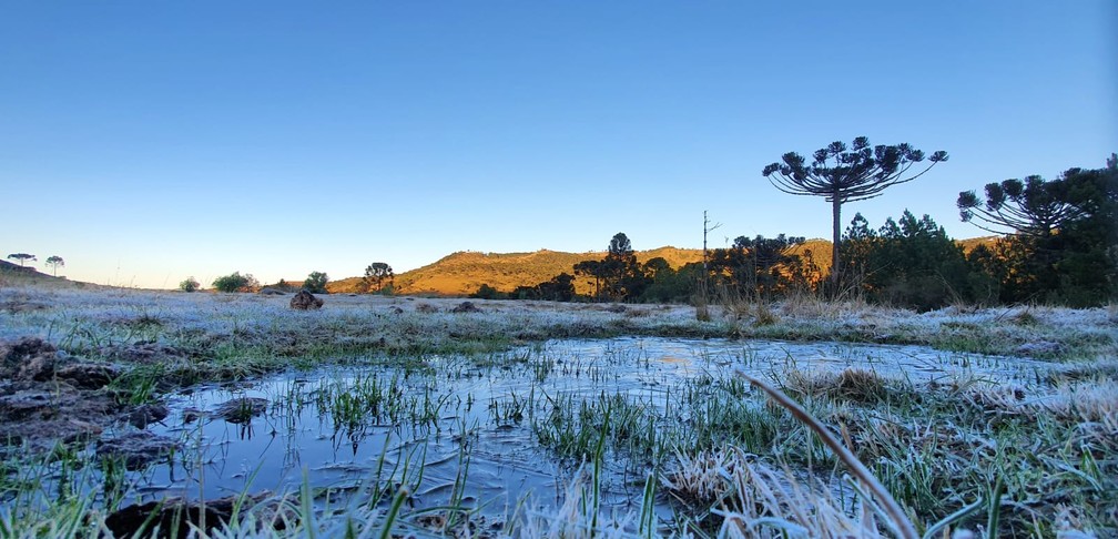Sábado começou com geada e temperatura abaixo de zero na Serra catarinense — Foto: Mycchel Legnaghi/ São Joaquim Online
