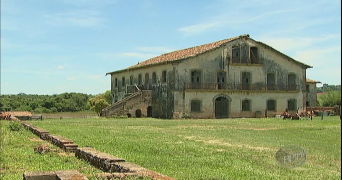 G1 - Pesquisa da Unesp de Rio Claro, SP, busca desenvolver o ...
