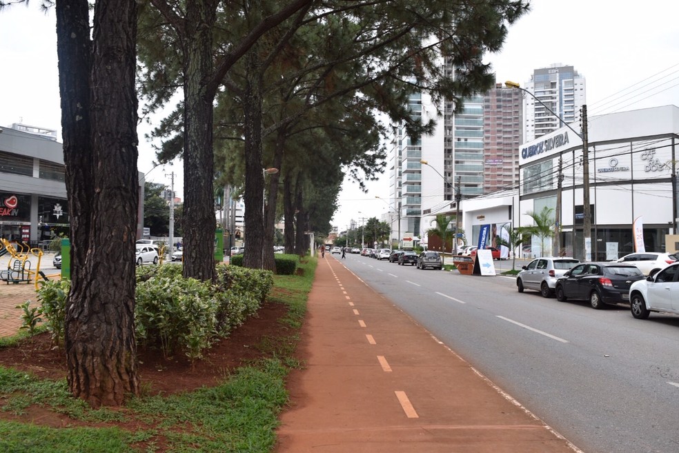 Avenida Ricardo Paranhos, no Setor Marista, em GoiÃ¢nia â€” Foto: Murillo Velasco/G1