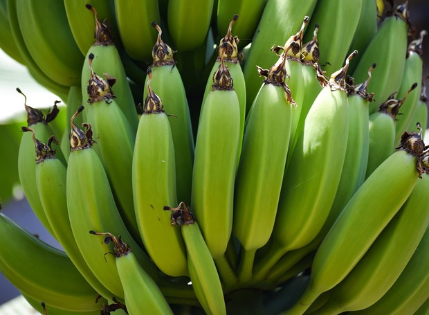 A banana verde amadurece mais rápido se colocada dentro de um saco de papel fechado (Foto: Pixabay/Reprodução)