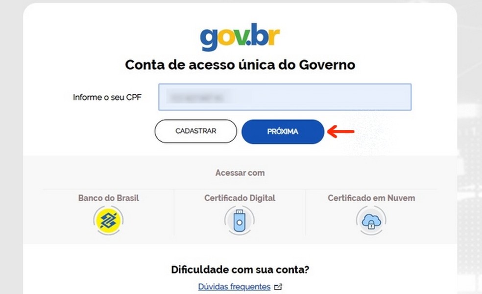 Informação do CPF para entrar no portal gov.br — Foto: Reprodução/Raquel Freire