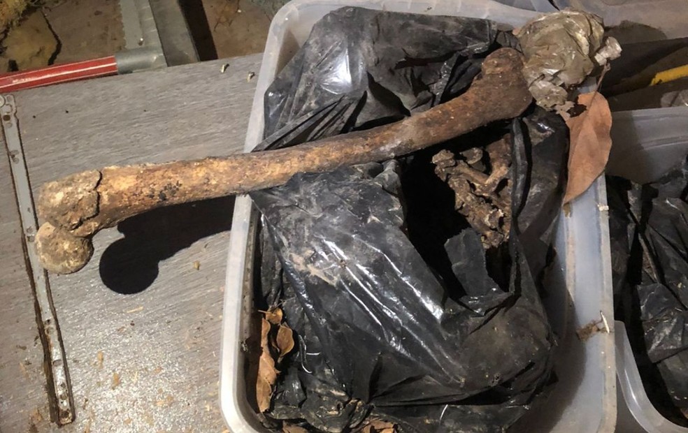 Polícia Civil encontra 4 ossadas humanas em casa e pedreiro é preso em flagrante — Foto: Polícia Civil /Divulgação
