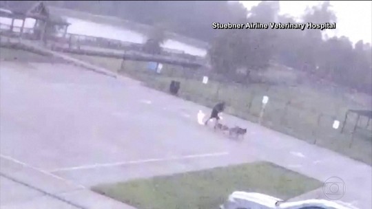Vídeo: homem é atingido por raio e sobrevive nos Estados Unidos
