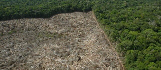 Floresta derrubada na Amazônia