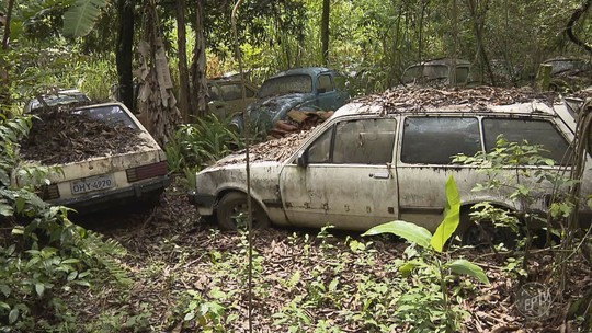 Militar acumula 'frota' de 350 carros desde a década de 1980 em chácara de Valinhos; veja imagens
