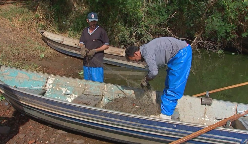 Pesca com redes é proibida durante período da Piracema  — Foto: Reprodução/TV TEM