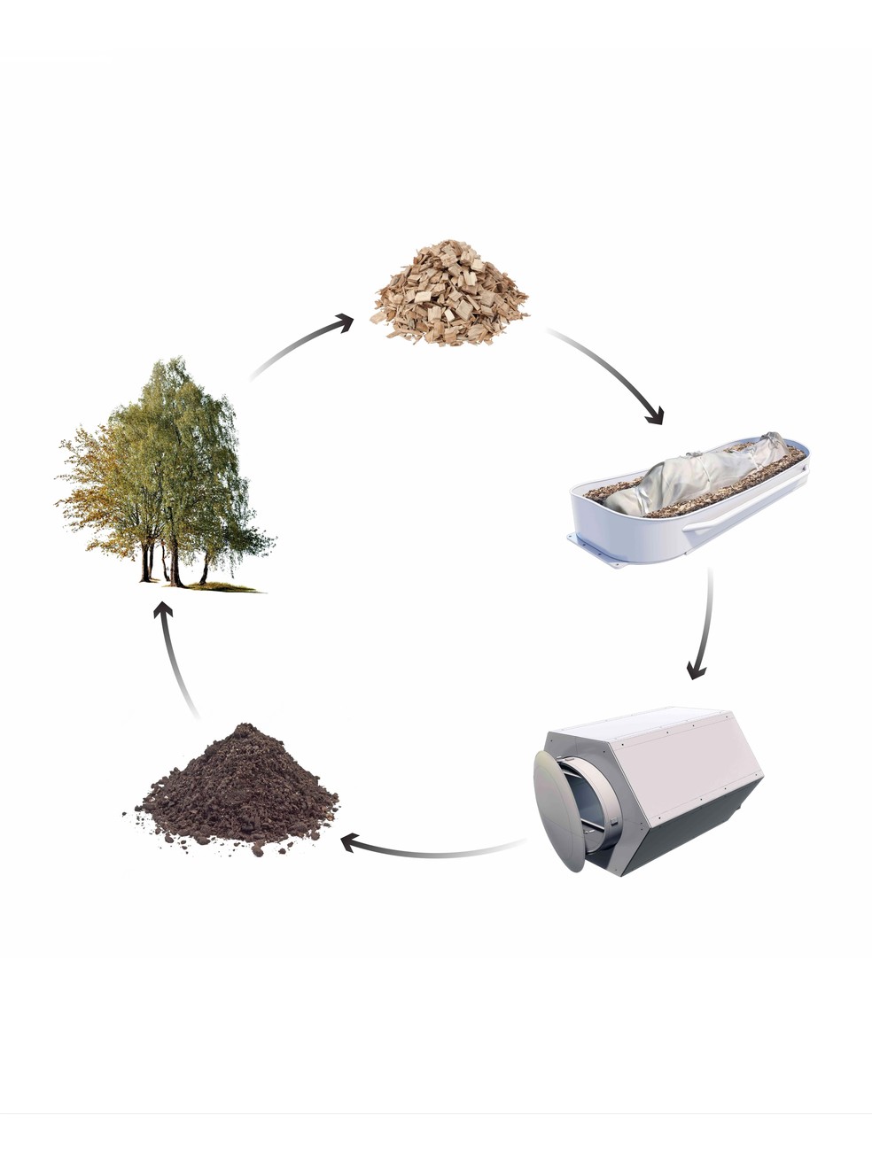 Ilustração do ciclo da compostagem humana — Foto: Recompose