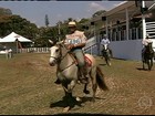 Criadores participam de exposição do mangalarga marchador em BH