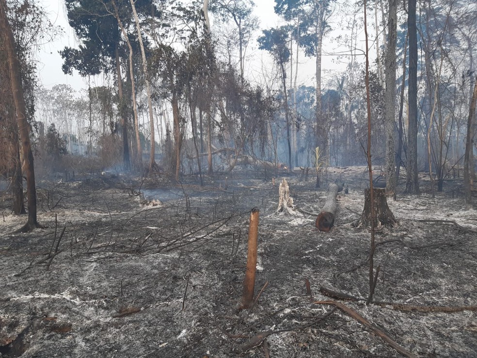 Incêndio durou mais de 3h e queimou 5 hectares — Foto: Kelton Pinho/Rede Amazônica