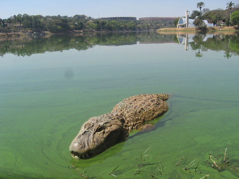 Cena curiosa costuma chamar atenção de quem passa pela Lagoa da Pampulha (Foto: Eugenio Moraes/Hoje em dia/AE)