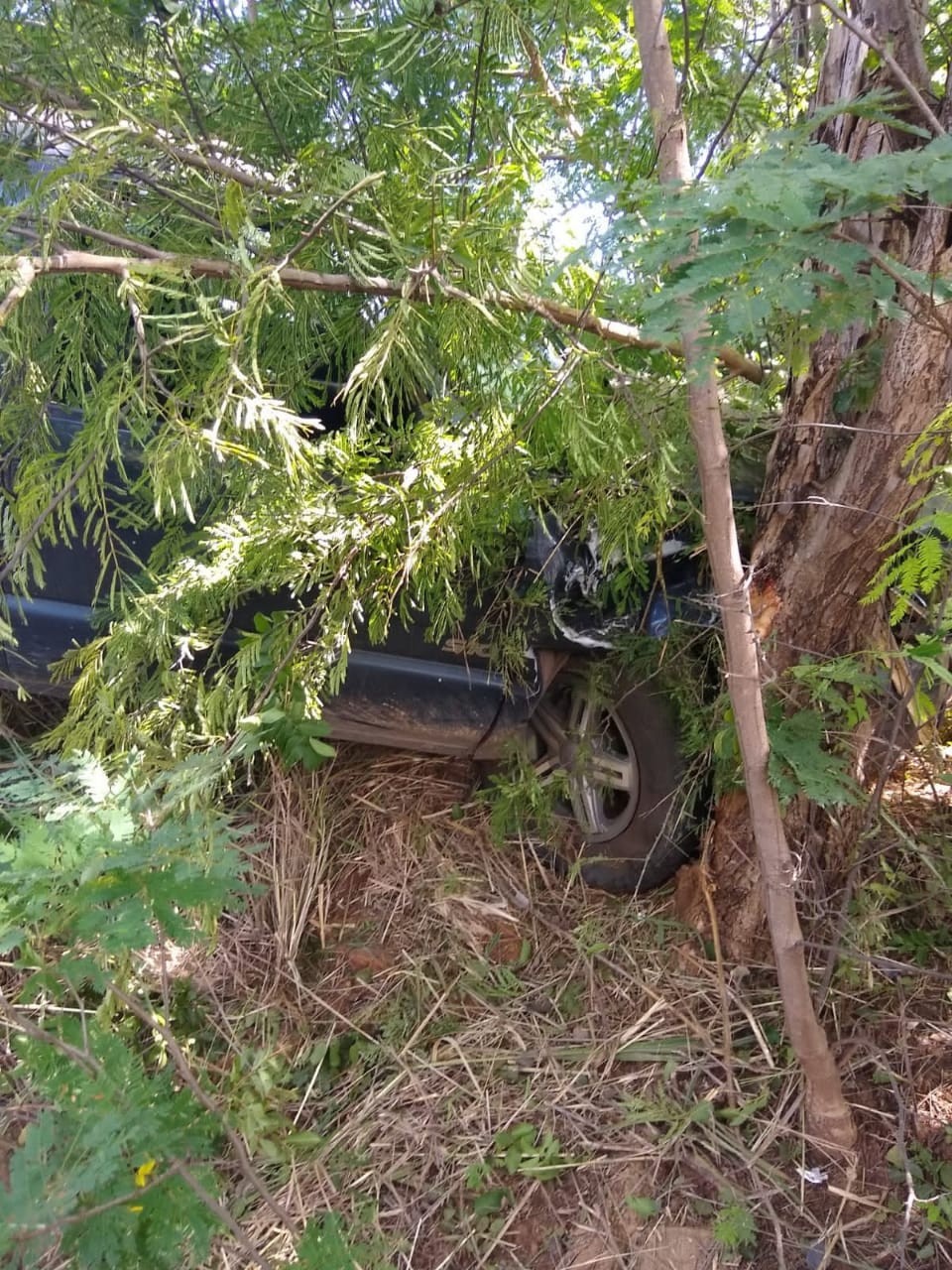 Quatro homens ficam feridos após carro sair da pista e bater em árvore na MGC-122, em Janaúba