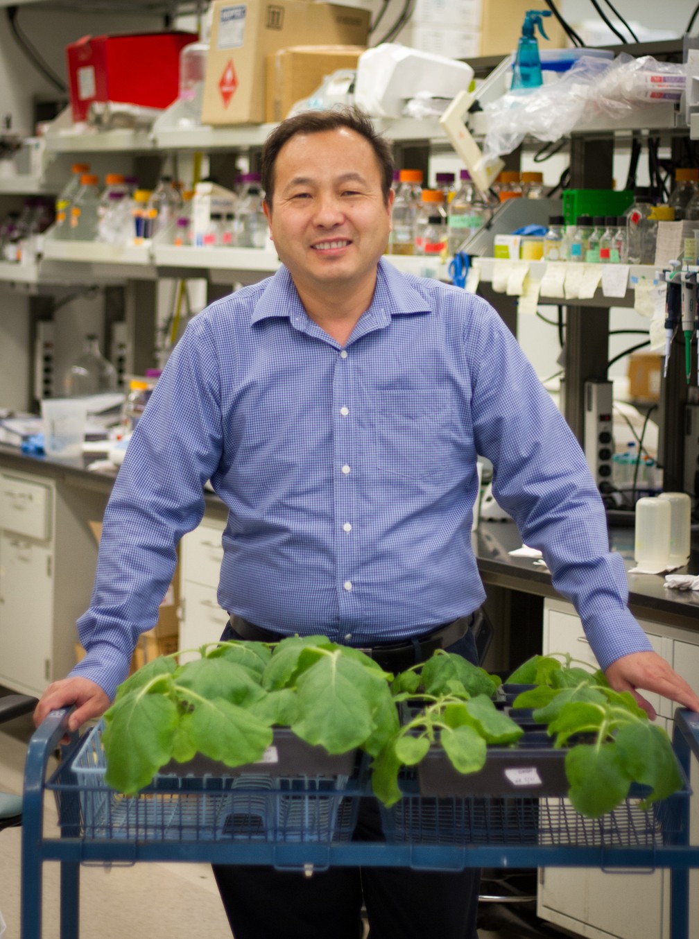 Qiang 'Shawn' Chen liderou sua equipe de pesquisa para desenvolver a primeira vacina da zika com uma planta como base (Foto: Jason Drees, Biodesign Institute, Arizona State University)
