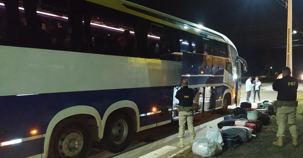 PRF flagra homem transportando mais de 60 canários dentro de ônibus em Picos — Foto: PRF