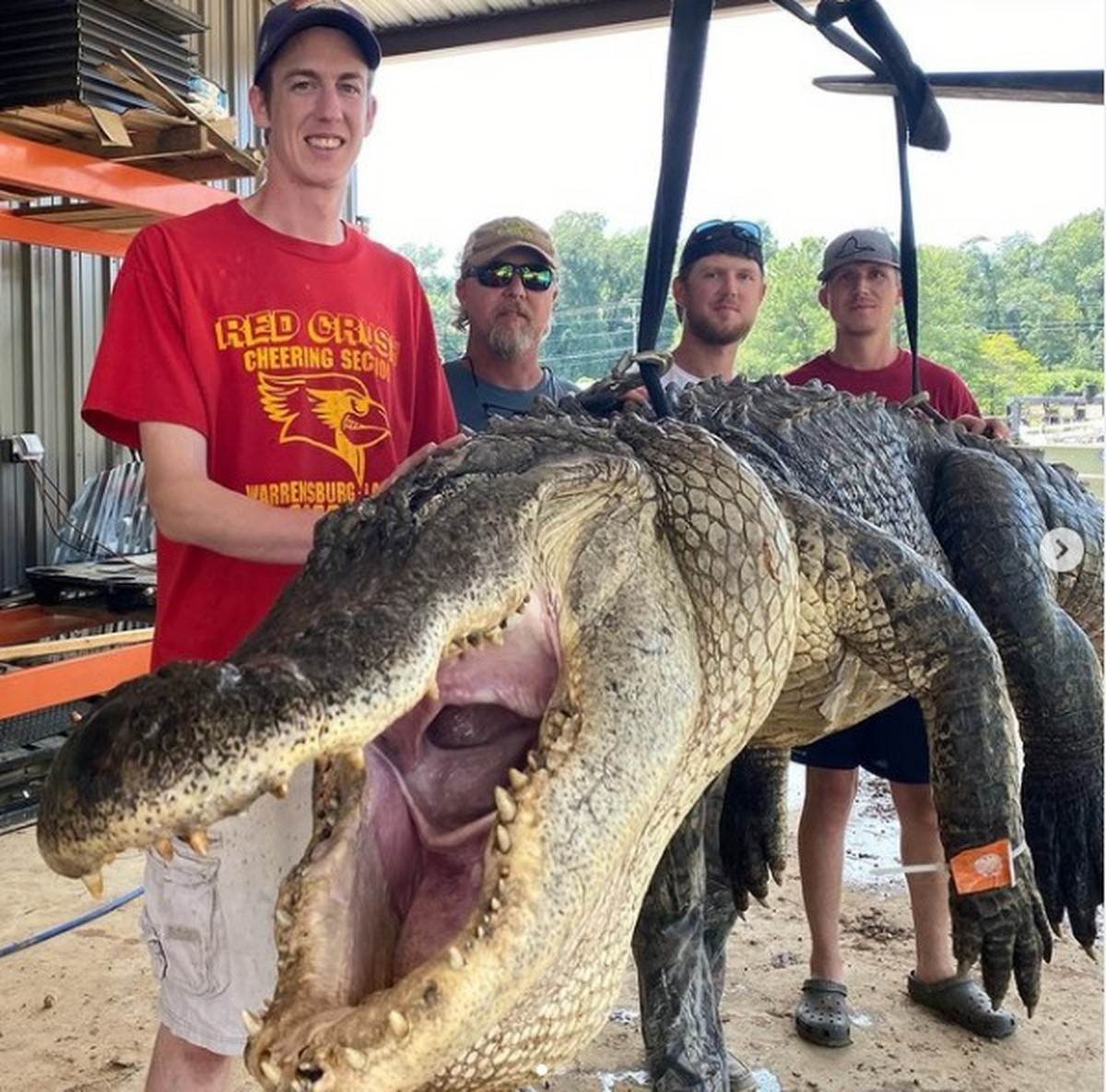 Dois objetos com mais de 10 mil anos são achados dentro do estômago de crocodilo nos EUA