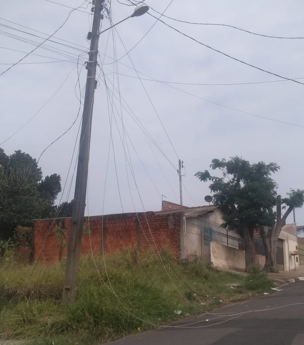 Queda de árvore atingiu rede de fiação elétrica em Álvares Machado — Foto: Karina Teschi 