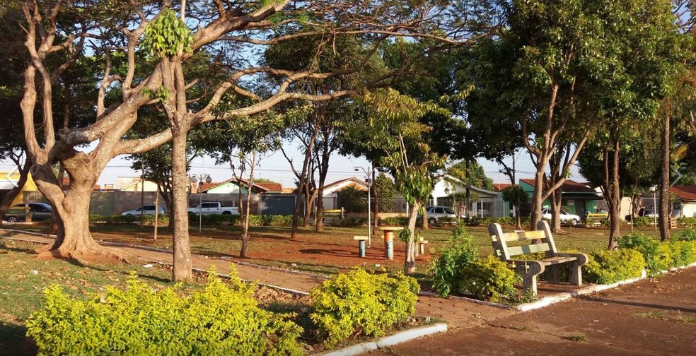 Muitas praças da área central de Macatuba foram arborizadas com mudas do projeto  — Foto: Arquivo Pessoal 