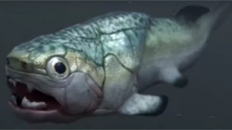 Impressão artística do peixe Gogo (Foto: PALEOZOO via BBC)