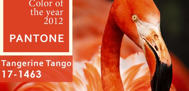 Pantone cor do ano 2012: Tangerine Tango (Foto: Pantone/Divulgação)
