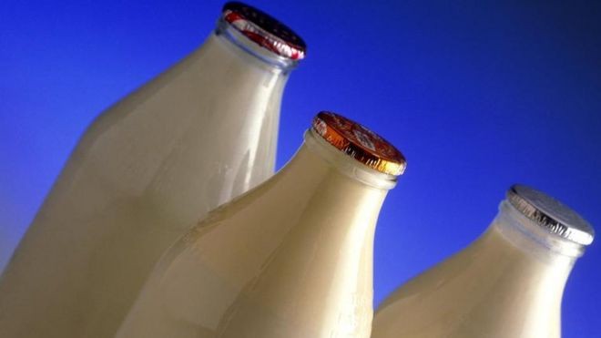 BBC: O leite de vaca feito sem vacas (Foto: SCIENCE PHOTO LIBRARY VIA BBC)