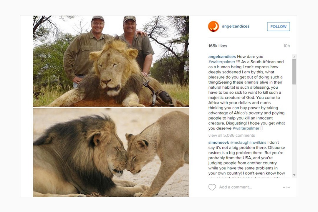 O outro post de Candice Swanepoel nas redes sociais, contra o dentista norte-americano (Foto: Reprodução/Instagram)