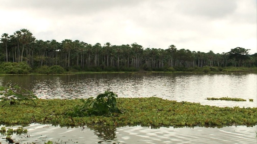 Lagoa de Nazaré do Piauí — Foto: Reprodução/TV Clube
