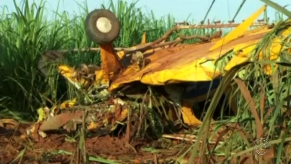 Cenipa vai investigar as causas da queda da aeronave em canavial  â€” Foto: ReproduÃ§Ã£o/TV TEM