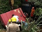 Duas pessoas e cerca de 50 bois morrem durante acidente em Goiás