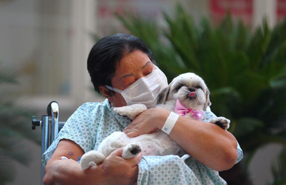 Paciente realizou desejo de ver sua cachorrinha em Cubat&atilde;o (SP) &mdash; Foto: Matheus Tag&eacute;/Jornal A Tribuna