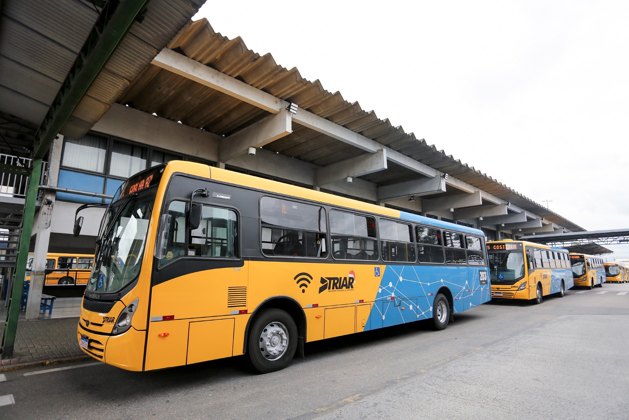 7ª REDUÇÃO: Com aumento de usuários, Araucária reduz ainda mais a tarifa do transporte coletivo