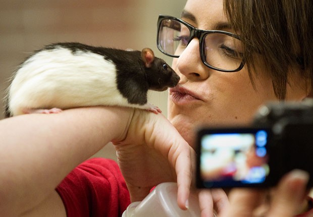 Becca Simley beija seu rato 'Scabbers' durante a competição (Foto: Eric Gregory/The Journal-Star/AP)