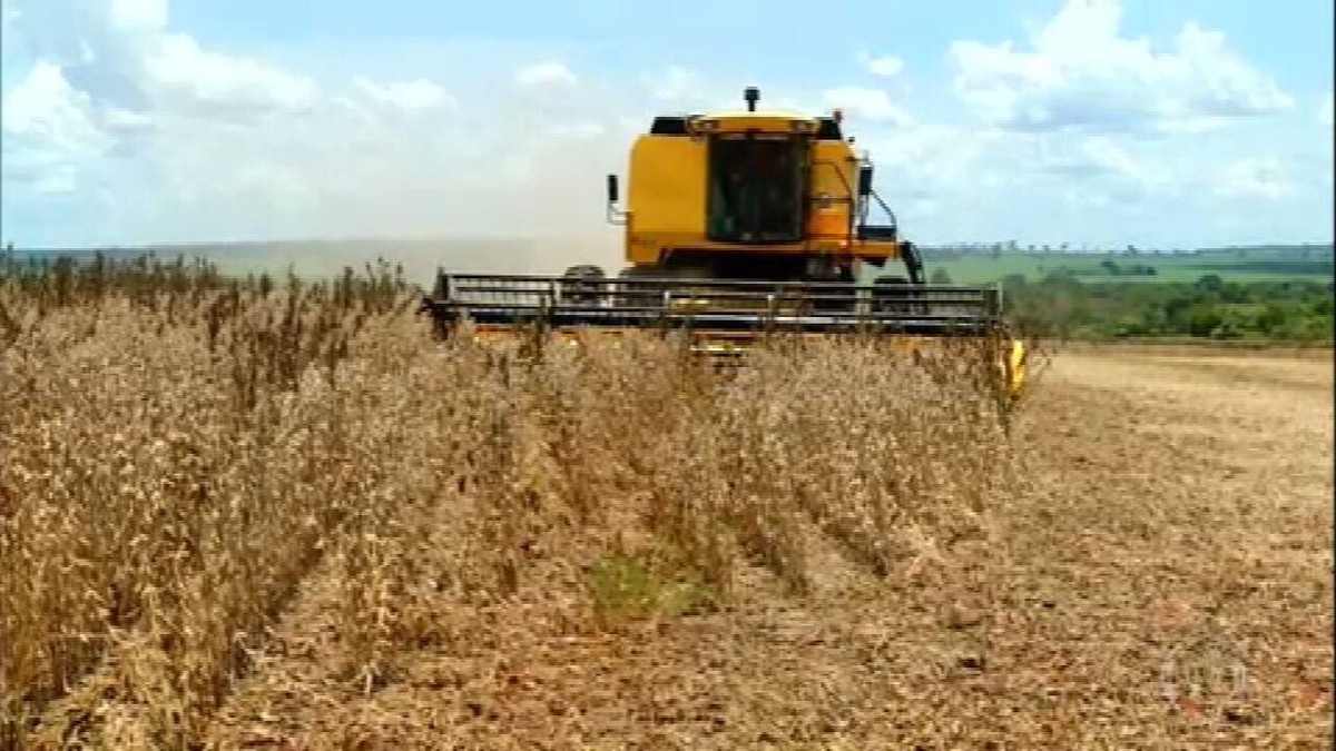 Safra de soja deve ser maior em Goiás neste ano, apesar de problemas climáticos thumbnail