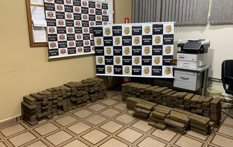 Mais de 450 tijolos de maconha foram apreendidos em José Bonifácio — Foto: Polícia Civil/Divulgação