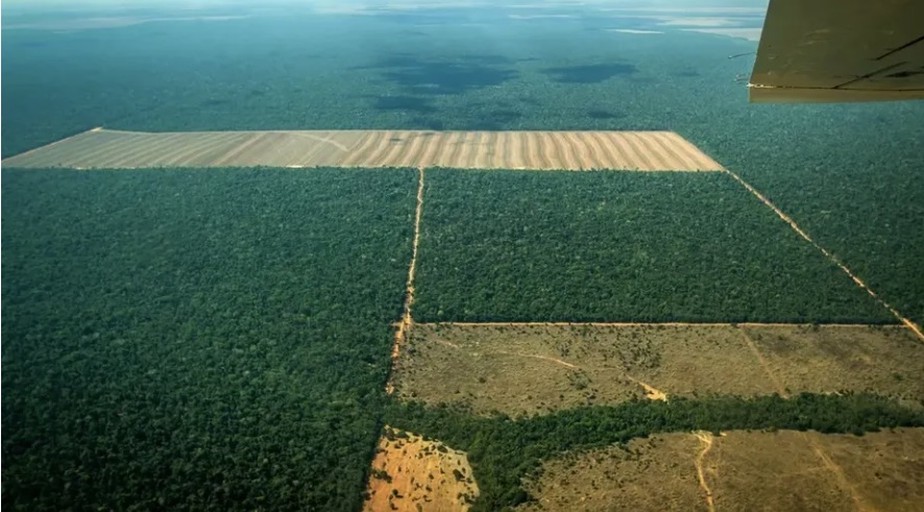Área de desmatamento no Mato Grosso