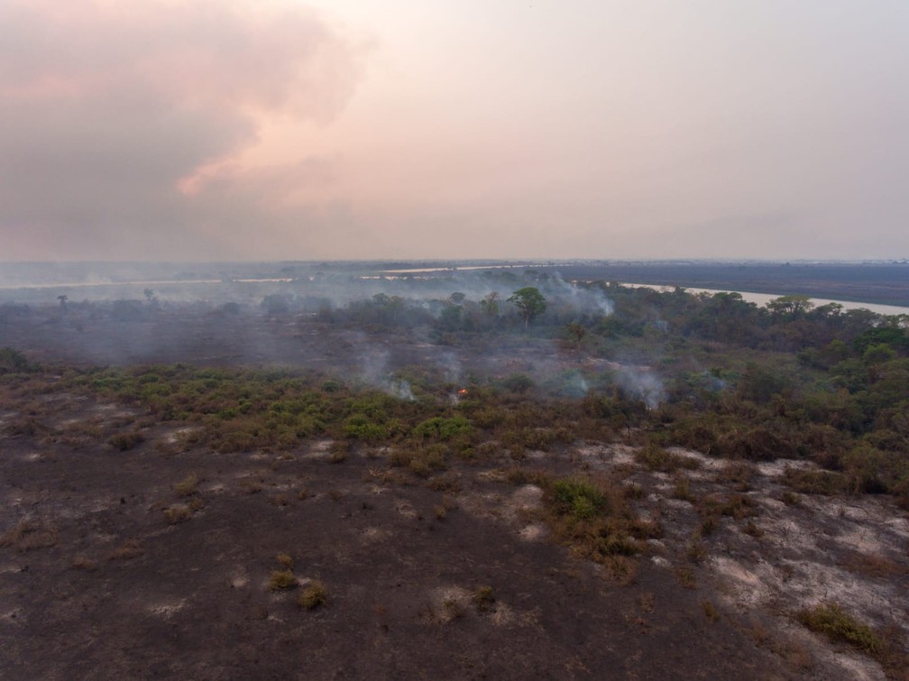 Bombeiros calcularam 35 km de fogo ao fazer combate no Pantanal de MS — Foto: Luiz Mendes/Arquivo Pessoal 