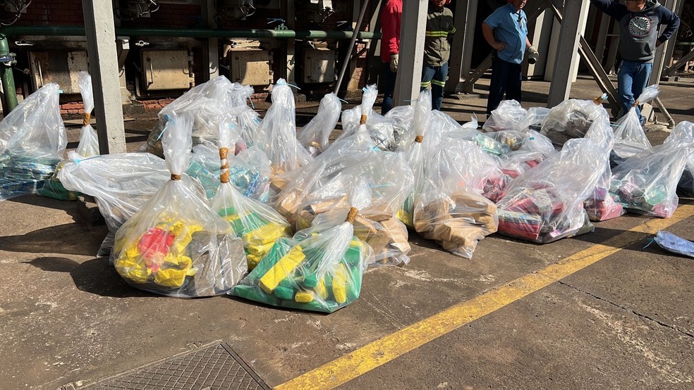 Quase 800 quilos de maconha apreendidas em ações de combate ao tráfico são incineradas em Botucatu  — Foto: Polícia Civil /Divulgação