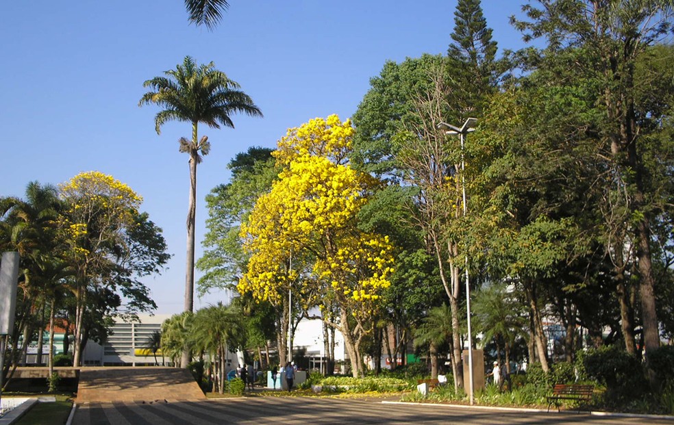 Praça Rodrigues de Abreu, em Capivari: cidade decidiu flexibilizar quarentena a partir de segunda-feira — Foto: Rubens de Souza/VC no G1