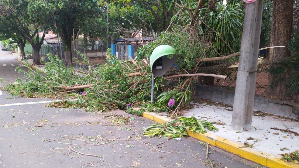 Equipes da Prefeitura ainda atuam para solucionar problemas causados por tempestade de poeira em Presidente Prudente — Foto: Cedida/Secom