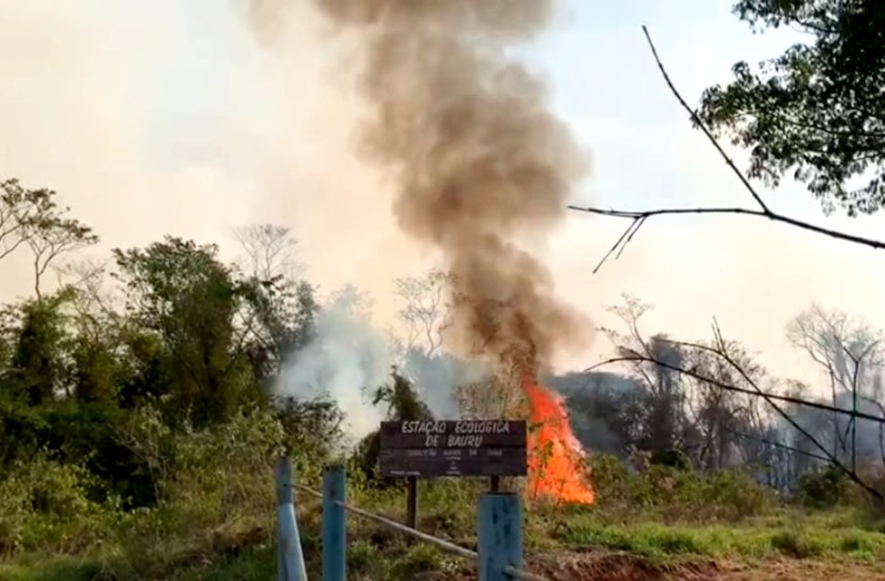 Incêndio atinge área de preservação da Estação Ecológica de Bauru — Foto: Reprodução/Arquivo pessoal