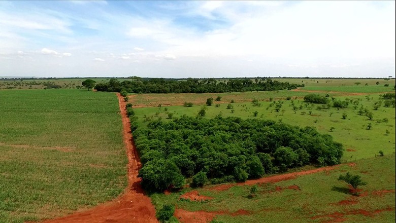 tv-mata-atlantica-projeto-pecuarista-paranapanema-floresta (Foto: Reprodução/ TV Globo)