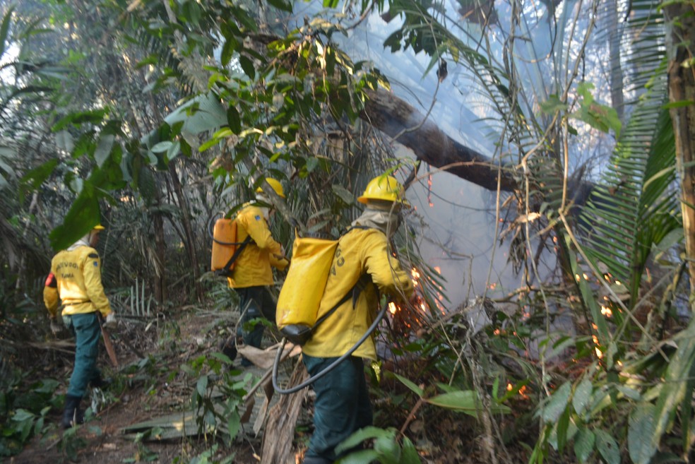 Homens do Prev Fogo do Ibama conseguiram isolar as chamas, impedinto o avan&ccedil;o do fogo (Foto: Toni Francis/G1)