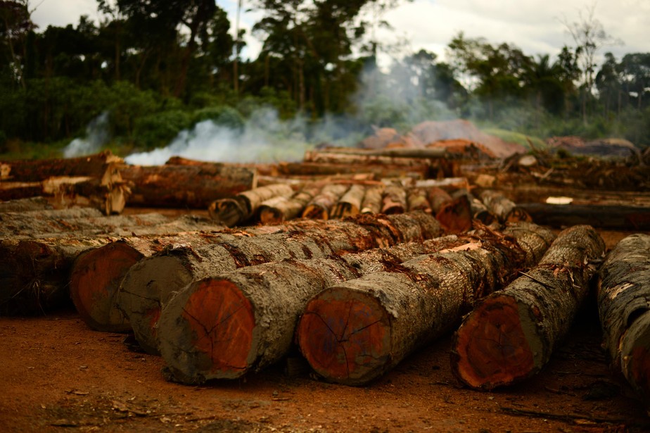 Aumento do desmatamento na Amazônia / Extração ilegal de madeira / Apreensão de madeira