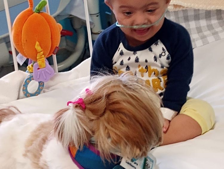 O projeto Amigos para Cachorro leva bichinhos de estimação para visitas à ala de internação pediátrica do Hospital das Clínicas da UFMG (Foto: Reprodução/Instagram)